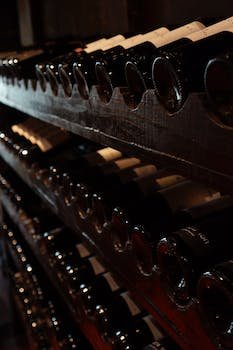 Quels sont les avantages d’avoir une cave à vin chez soi ?