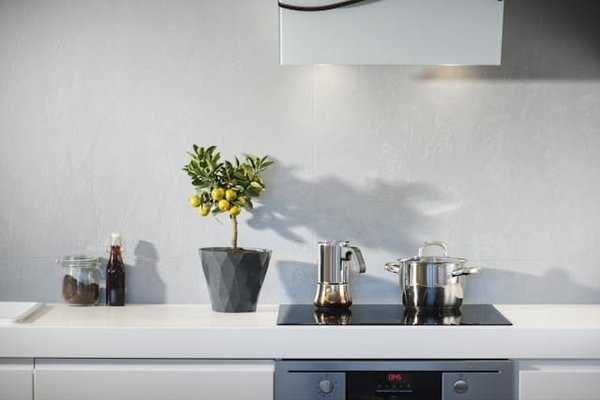 Quel est l’impact de l’utilisation d’une plaque à induction blanche ?