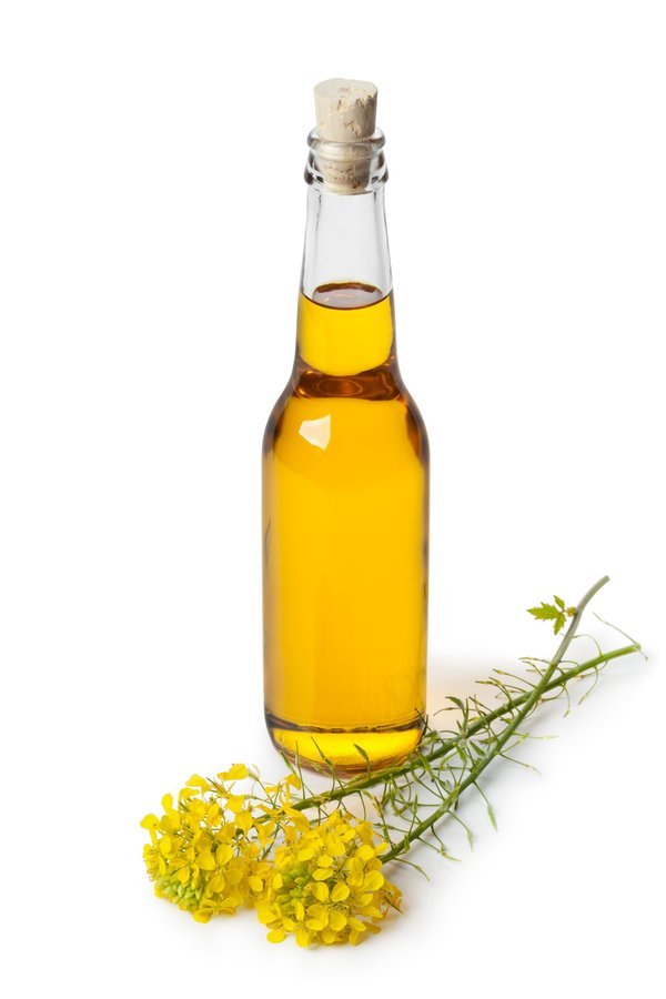 Huile de colza bio : vos alliés santé à portée de table